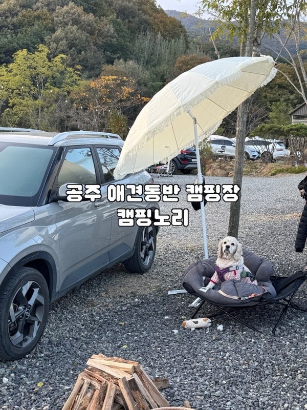 [공주 애견동반 캠핑장 캠핑노리] 조용한 저수지 뷰와 함께한...