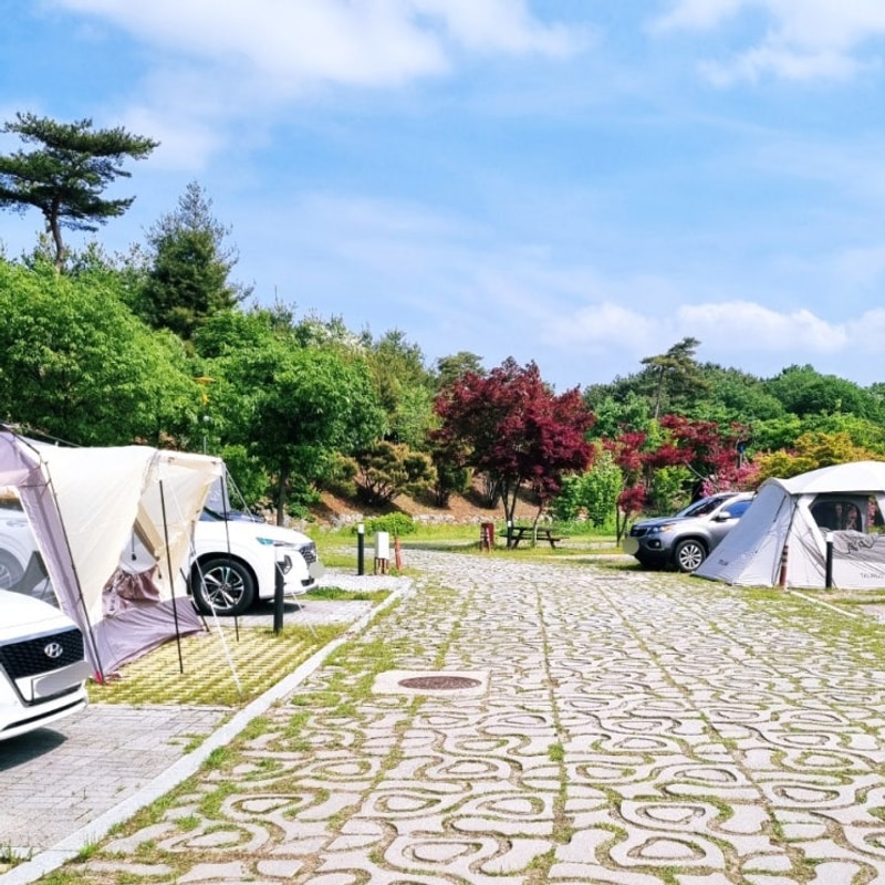 새로이 오픈한 괴산 괴강국민여가 캠핑장 가족캠핑