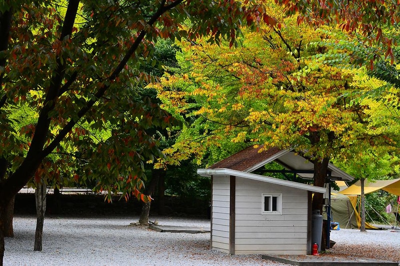 구름계곡캠핑장 시설 사진 49