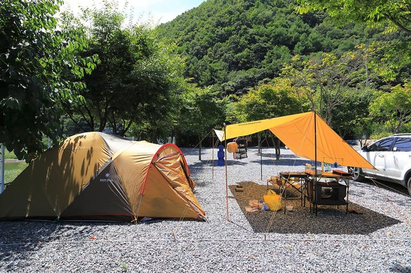 월악 한울 오토캠핑장 대표 사진