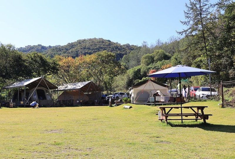 캠핑중DOG 시설 사진 14