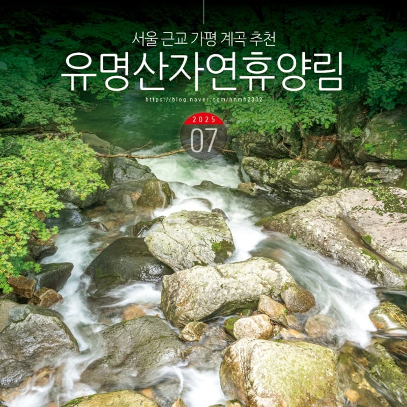 서울근교 산 국립유명산자연휴양림 가평 유명산 가평 계곡 캠핑장