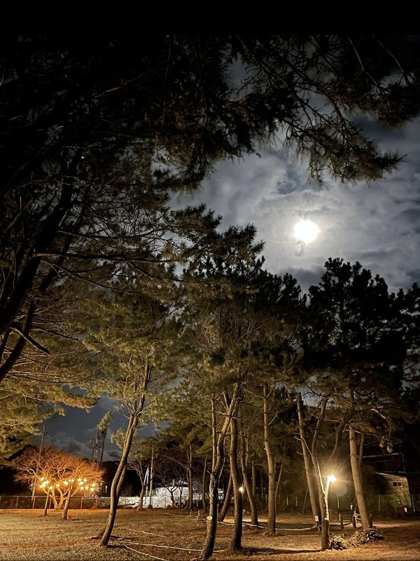 펜캠2495체험학교 시설 사진 14