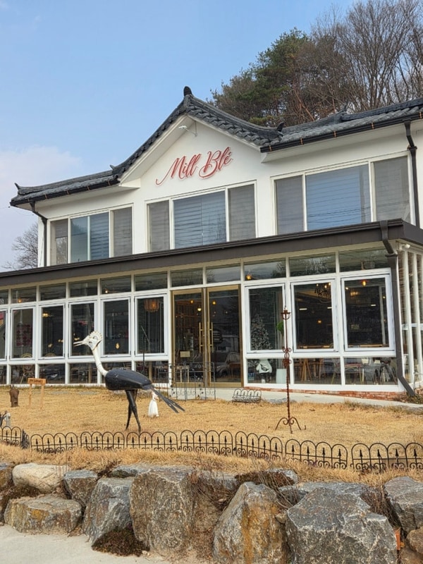 욤캠핑_홍천 그자리야영장/애견동반 캠핑장/A4 사이트/홍천...