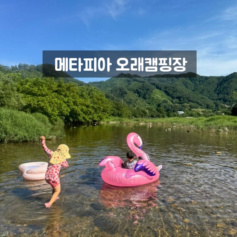 여름캠핑 가평 계곡이 있는 캠핑장 메타피아 오래캠핑장