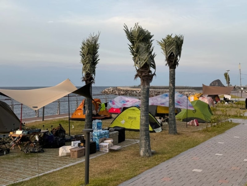 [울릉도 여행 Ep.2] 거북바위... 독도스낵｜웅포야영장｜태하항...