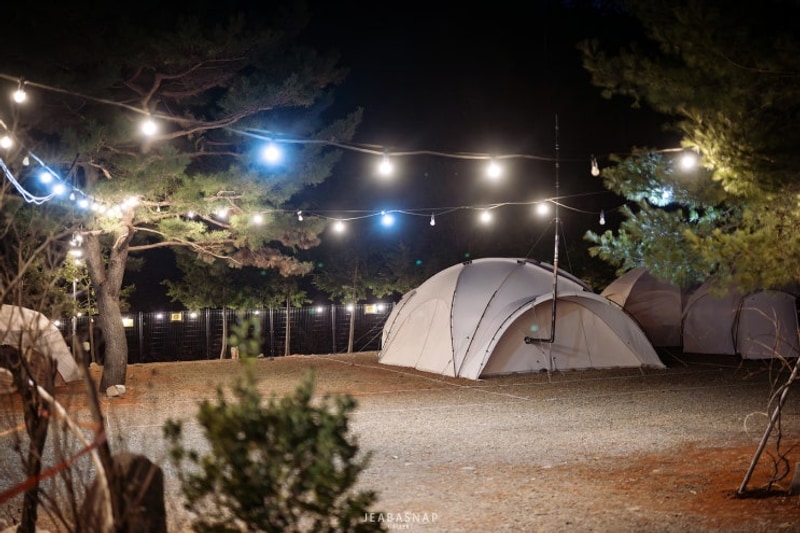 재바작가의 캠핑이야기 #6 봄날의 경주 라라캠핑장