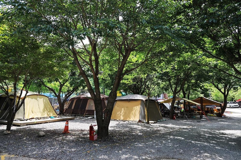 맑은물소리캠핑장 시설 사진 12