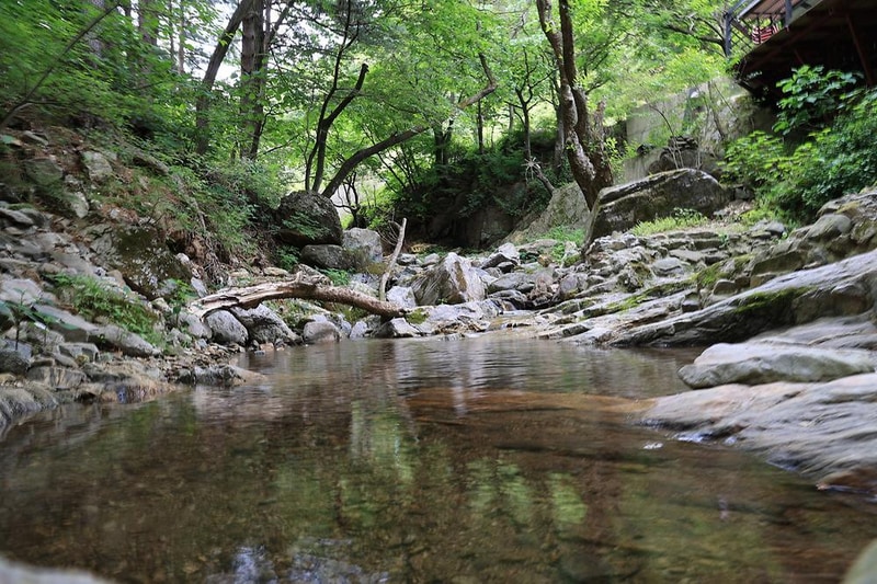 숲속다람쥐 캠프 시설 사진 11