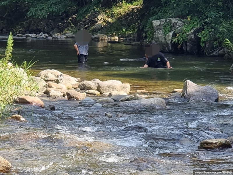 숲에서놀자, 홍천캠핑장 여름 더위 날린 계곡 여행