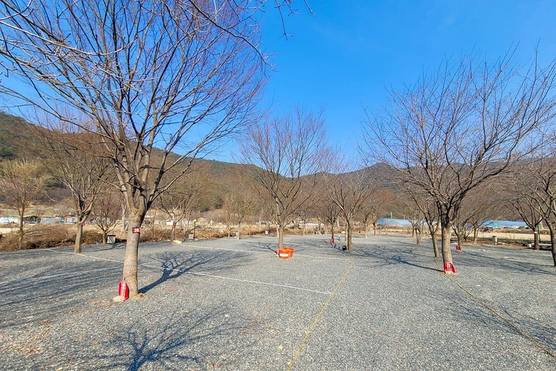 늘푸른캠핑장 시설 사진 2