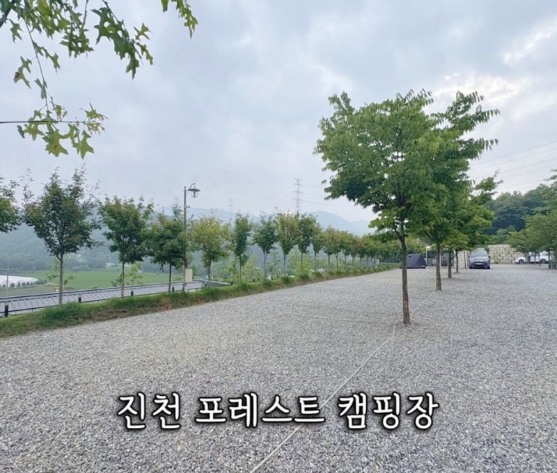 진천 포레스트 캠핑장 수영장 에어바운스 키즈캠핑장으로 추천