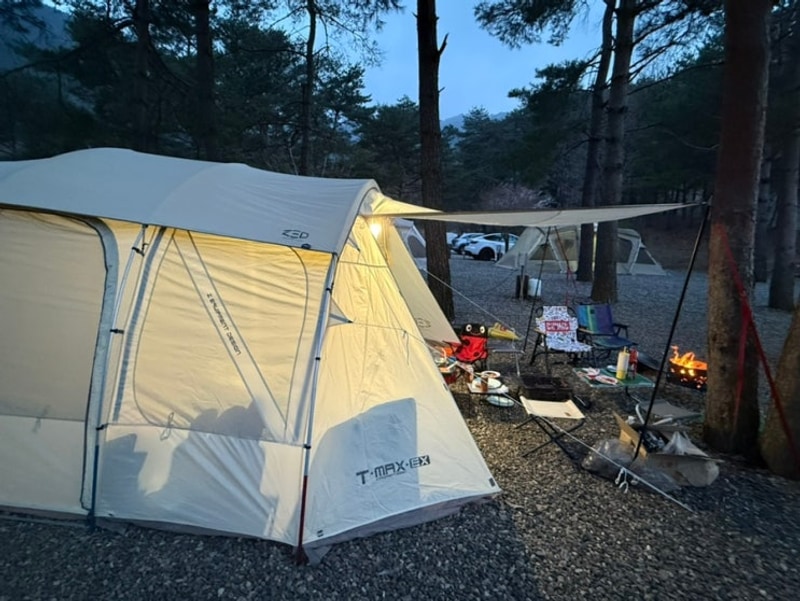 삼척 엘림 캠핑장 첫 벚꽃캠핑