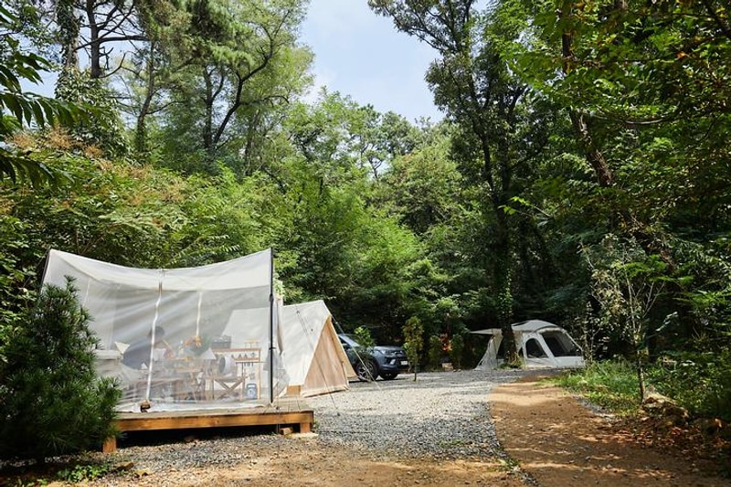 여울지숲속캠핑장 대표 사진