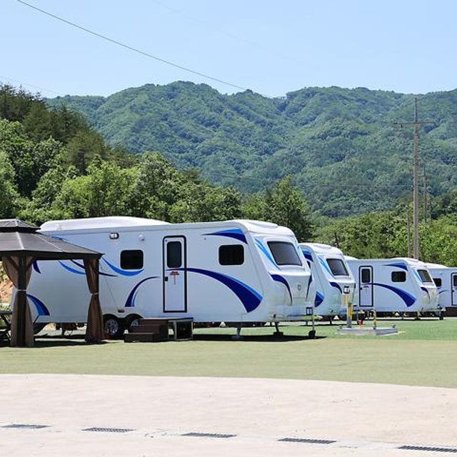 고성라벤더 캠핑장