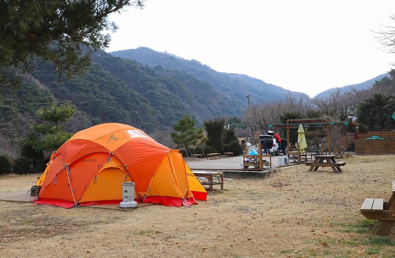 벳소캠프 시설 사진 2