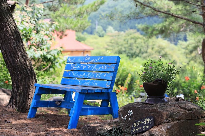 슬로우캠프 시설 사진 13