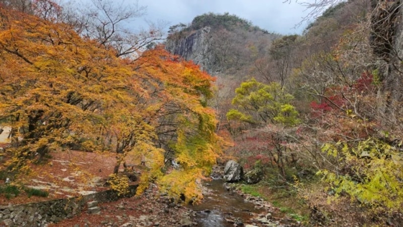 순창군 강천산 군립공원 단풍 구경 및 강천산오토캠핑