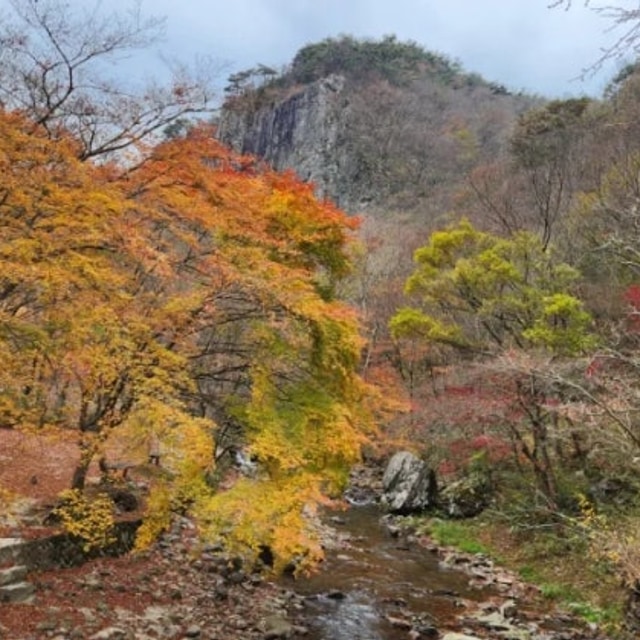 강천산 오토캠핑장