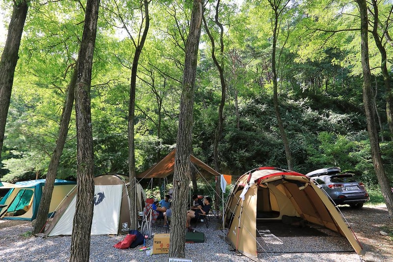용두산오토캠핑장 시설 사진 6