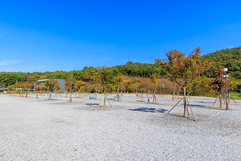 노리터 키즈 캠핑장 시설 사진 15