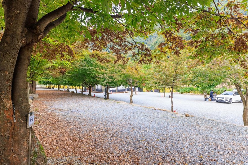 포레스트캐빈앤캠프 시설 사진 17