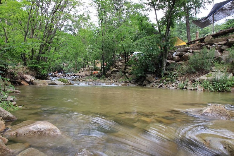 평창 태기산 캠핑장 펜션 시설 사진 9