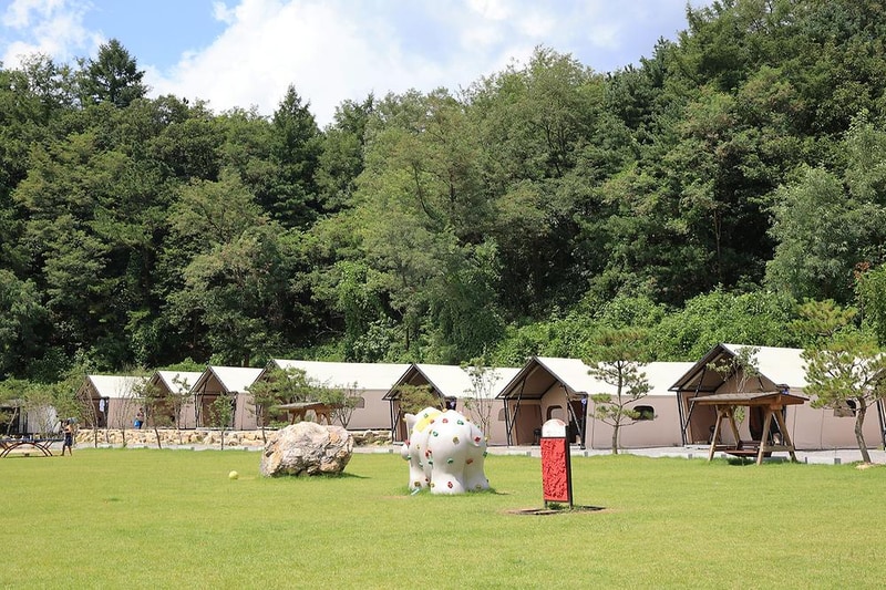 더존 관광농원 시설 사진 7