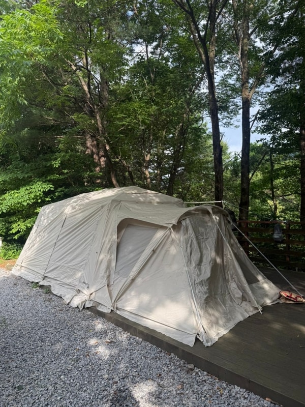 강원도 평창 계곡캠핑추천... 흥정계곡캠핑 700 여름 방문...
