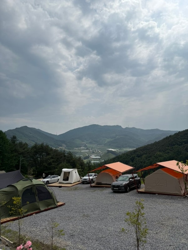 평창 오렌지캠핑장 / 오대산 전나무숲길