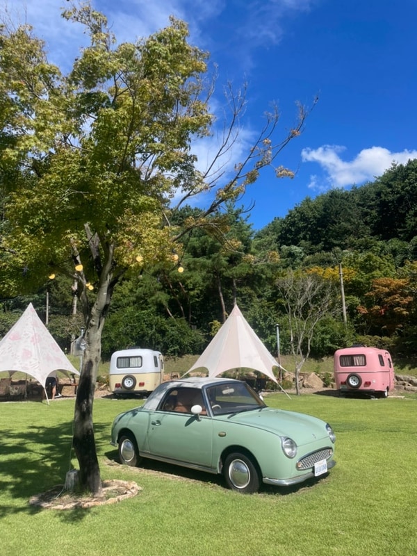 [금산여행]라라랜드 카라반 감성 글램핑 수영장과 조식