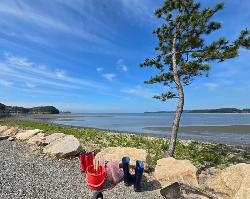 태안 맛조개 잡이 체험, 태안머드오토캠핑장 후기