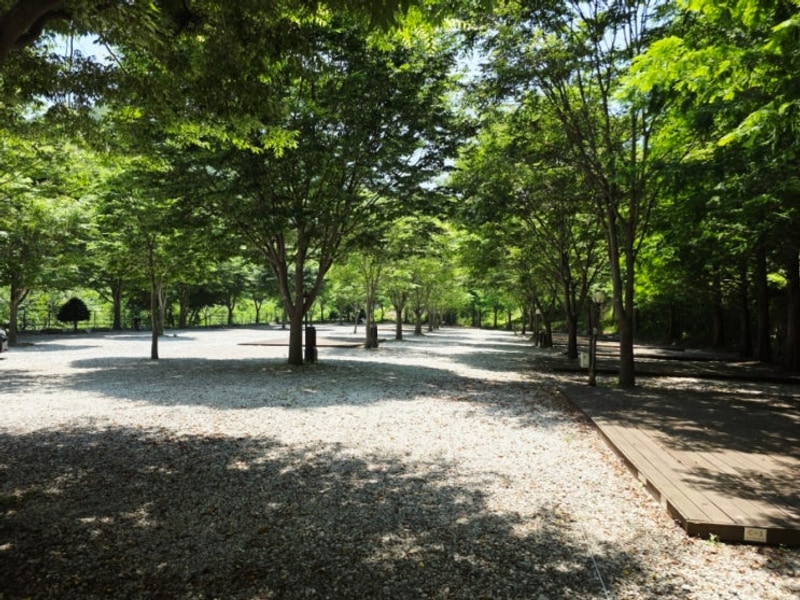 함양 캠핑장 계곡 캠프더포레