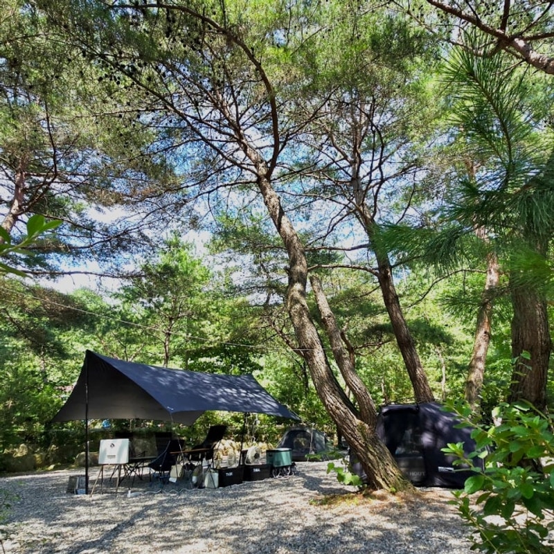 [제천] 14.캠핑기록/나무그늘 속 캠핑 덕동리301캠핑장