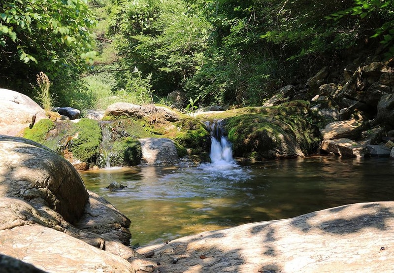 캠프1975 시설 사진 4