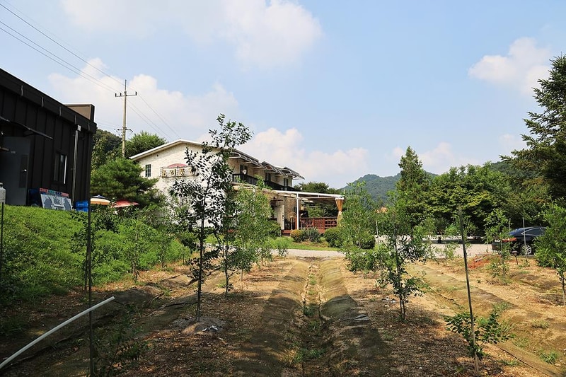 초리풍경 시설 사진 9