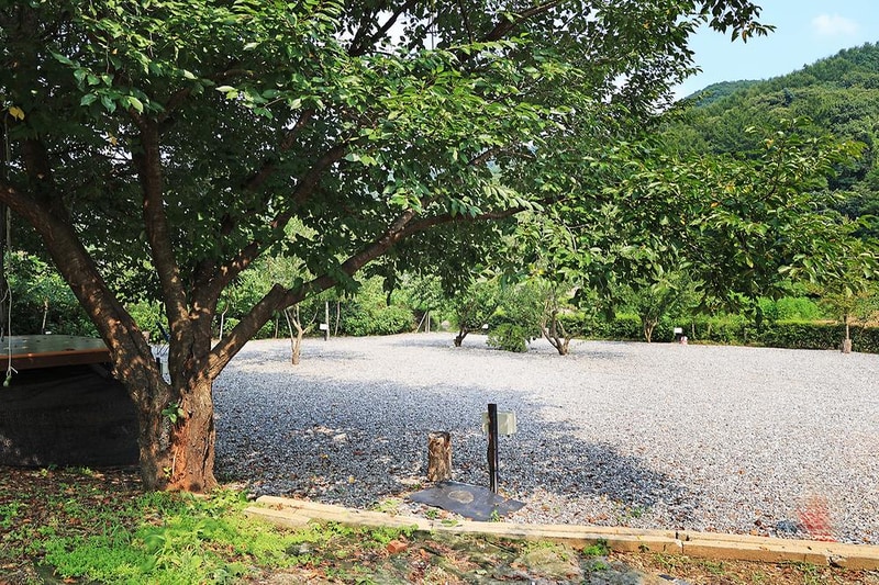 초리풍경 시설 사진 1