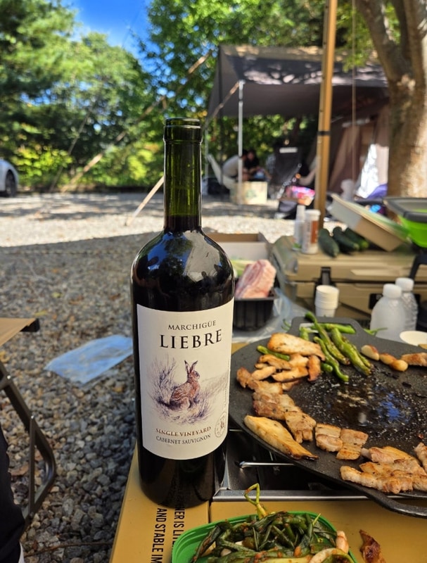 [경기도 남양주] 캠핑 초대 받아 놀러간 수산아카데미캠핑장