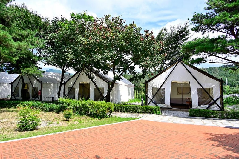 거창서핑파크 시설 사진 7