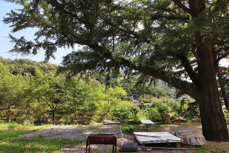 문경레저투어 캠핑장 시설 사진 1