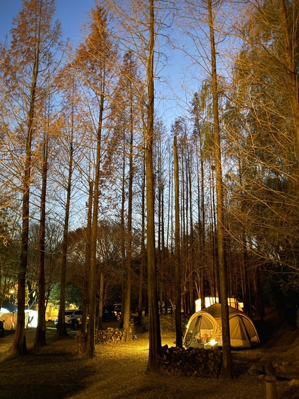 경주 숲속 오토캠핑장 “무릉관광농원”