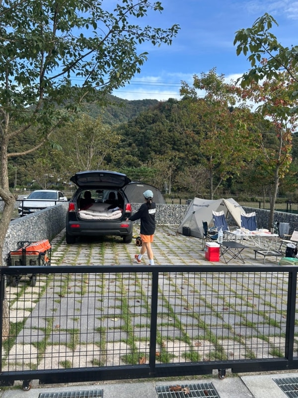 차박 초보의 감성캠핑, 강아지 퓨리와 함께한 가평 아워포레스트