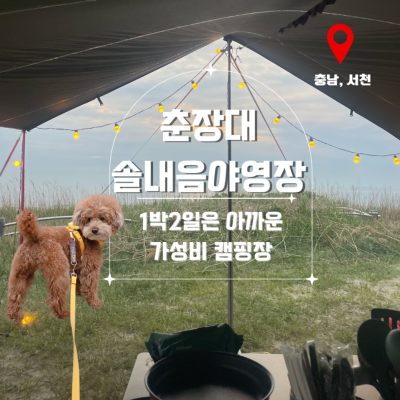 충남 서천 캠핑장 춘장대 솔내음 야영장