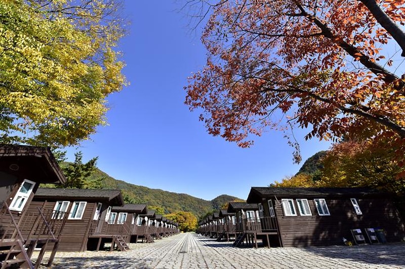산장관광지 대표 사진