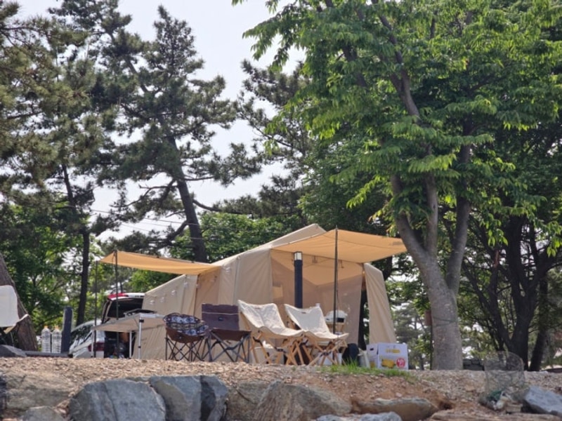 국내여행 서산 벌천포캠핑장 갯벌체험 주의 주변놀거리 명당...