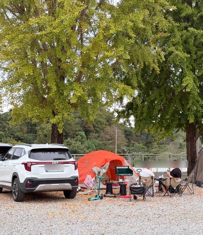 천안 캠핑장 추천 천안놀이터캠핑장 초보캠퍼가 아이와 가기...