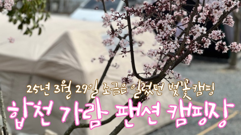 한 박자 빨랐던 벚꽃캠핑 in 합천 가람 펜션 캠핑장