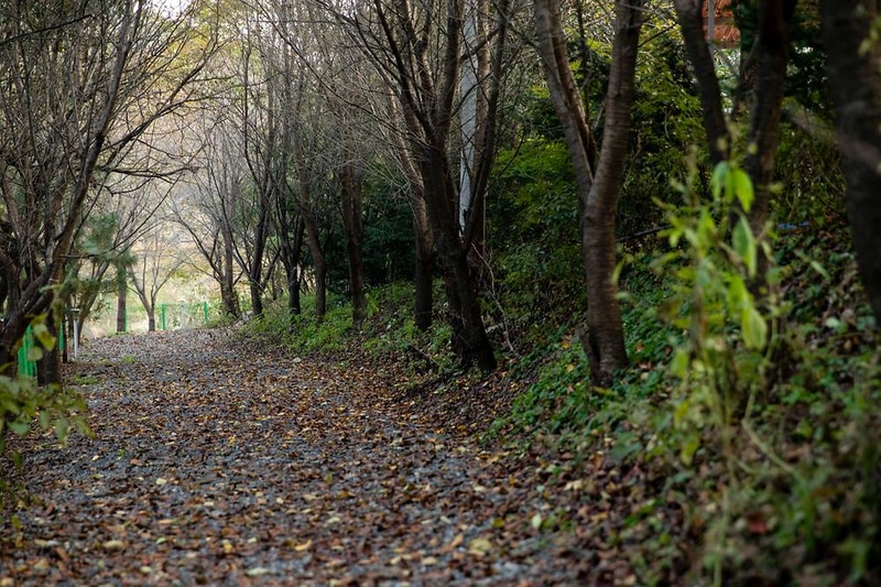 레이크문캠핑장 시설 사진 12