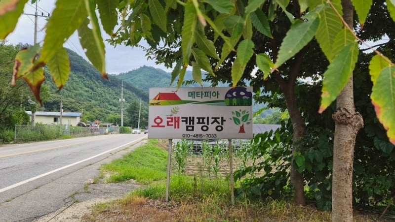 가평 메타피아 오래캠핑장