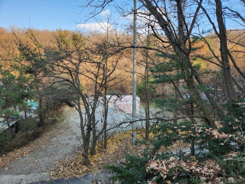 [용인 캠핑장] 두 가족이 넓게 지내기 편한 마운틴 캠핑장 V2...